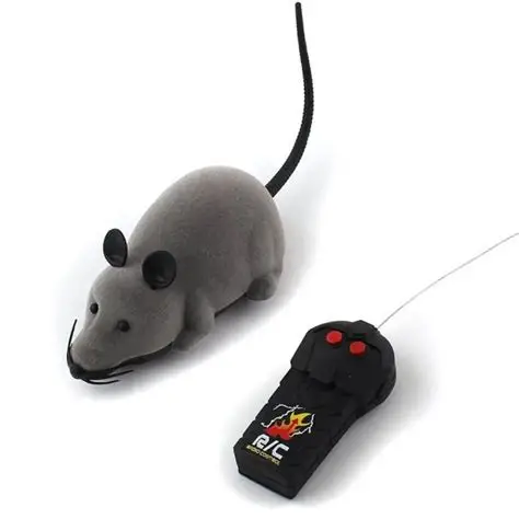 Mouse Toy