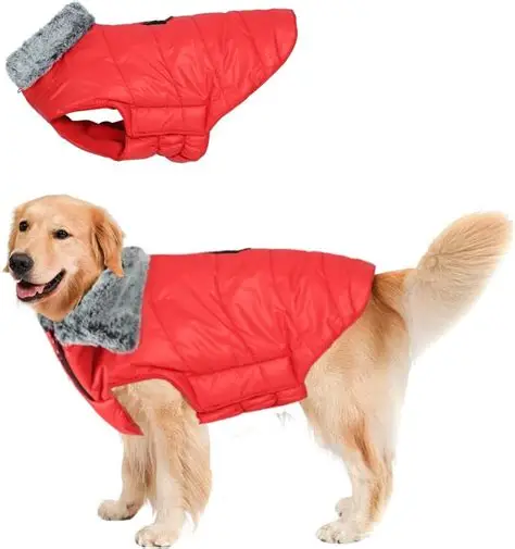 Dog Jacket