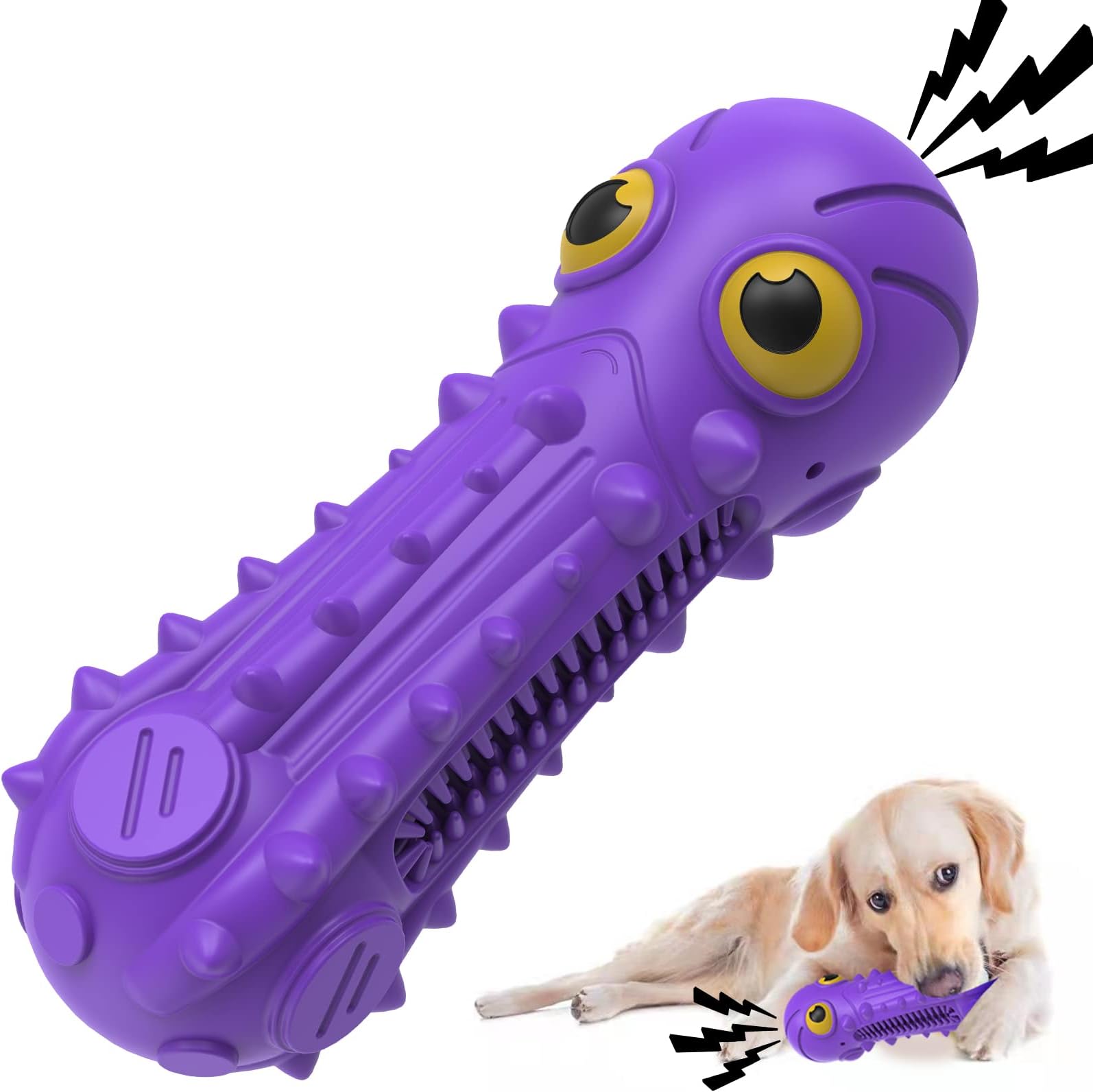 Squeaky Toy